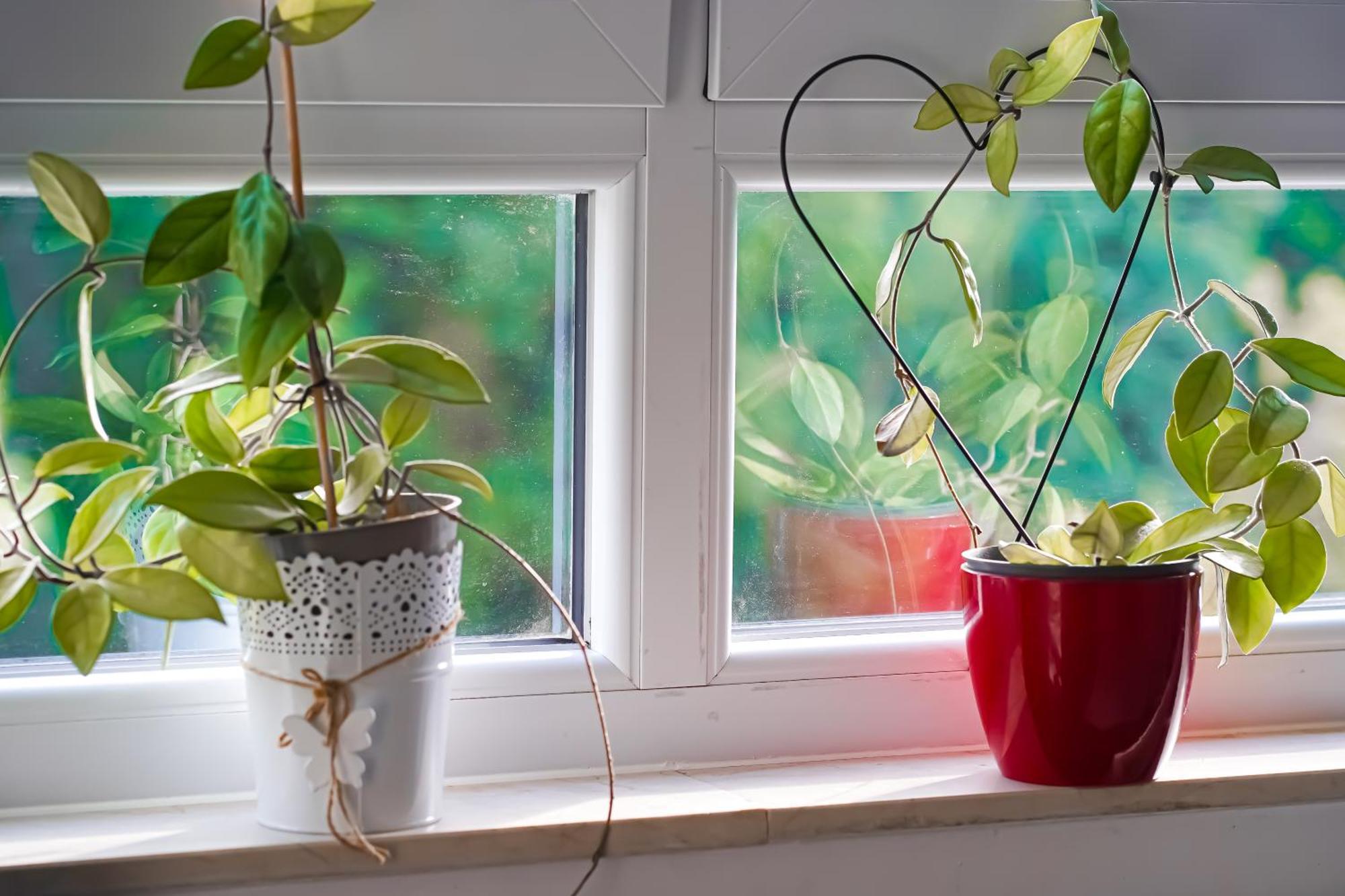 Moderne 3-Zimmer-Wohnung Im Herzen Von Darmstadt - Zentrale Lage, Komfort & Wlan Eksteriør billede